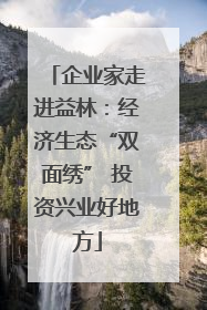企业家走进益林：经济生态“双面绣” 投资兴业好地方