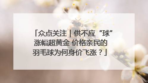 众点关注｜供不应“球” 涨幅超黄金 价格亲民的羽毛球为何身价飞涨？