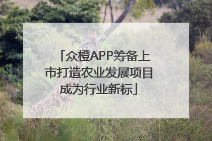 众橙APP筹备上市打造农业发展项目成为行业新标
