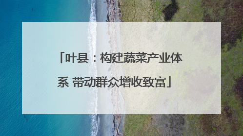 叶县：构建蔬菜产业体系 带动群众增收致富