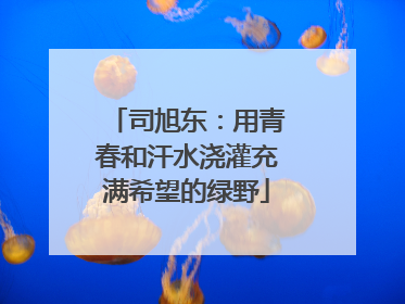 司旭东：用青春和汗水浇灌充满希望的绿野