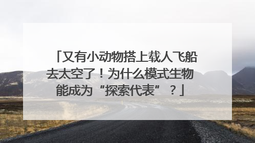 又有小动物搭上载人飞船去太空了！为什么模式生物能成为“探索代表”？