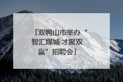 双鸭山市举办“智汇煤城·才聚双赢”招聘会