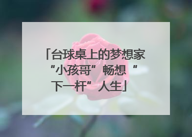 台球桌上的梦想家 “小孩哥”畅想“下一杆”人生
