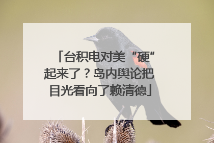 台积电对美“硬”起来了？岛内舆论把目光看向了赖清德