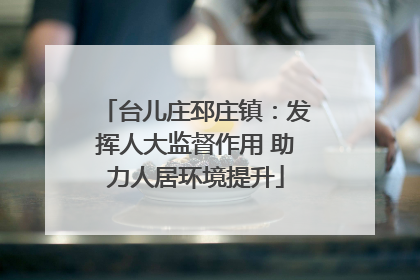 台儿庄邳庄镇：发挥人大监督作用 助力人居环境提升
