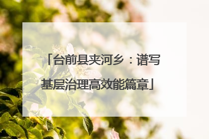 台前县夹河乡：谱写基层治理高效能篇章