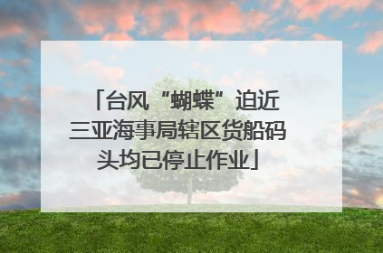 台风“蝴蝶”迫近 三亚海事局辖区货船码头均已停止作业