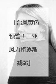 台风黄色预警！三亚风力将逐渐减弱