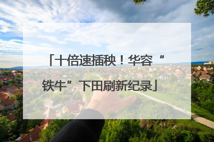 十倍速插秧！华容“铁牛”下田刷新纪录