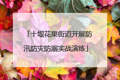 十堰花果街道开展防汛防灾防溺实战演练