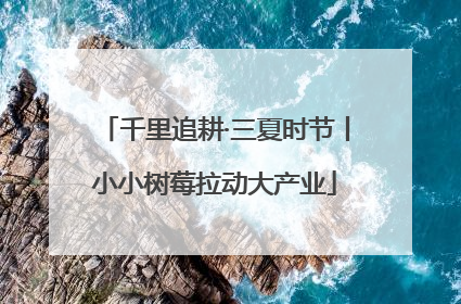 千里追耕·三夏时节丨小小树莓拉动大产业