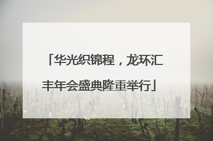 华光织锦程，龙环汇丰年会盛典隆重举行