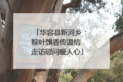 华容县新河乡：粽叶飘香传温情 走访慰问暖人心