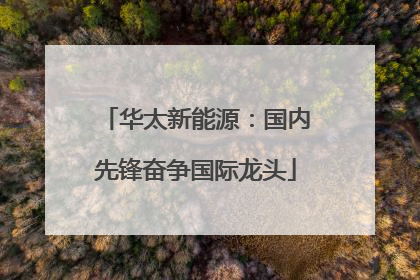 华太新能源：国内先锋奋争国际龙头