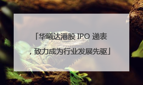 华曦达港股 IPO 递表，致力成为行业发展先驱