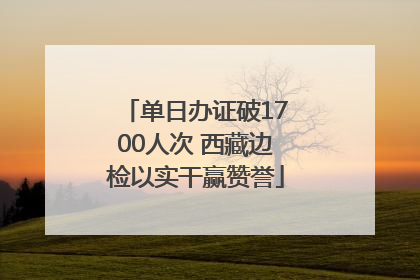 单日办证破1700人次 西藏边检以实干赢赞誉