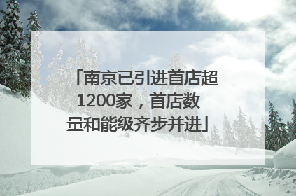 南京已引进首店超1200家，首店数量和能级齐步并进