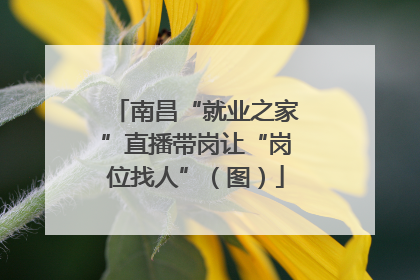 南昌“就业之家”直播带岗让“岗位找人”（图）