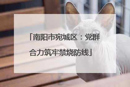 南阳市宛城区：党群合力筑牢禁烧防线
