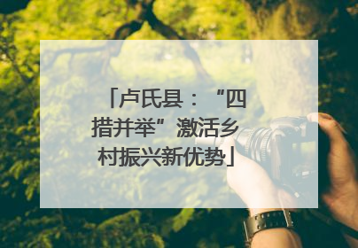 卢氏县：“四措并举”激活乡村振兴新优势