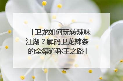 卫龙如何玩转辣味江湖？解码卫龙辣条的全渠道称王之路