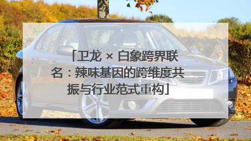 卫龙 × 白象跨界联名：辣味基因的跨维度共振与行业范式重构