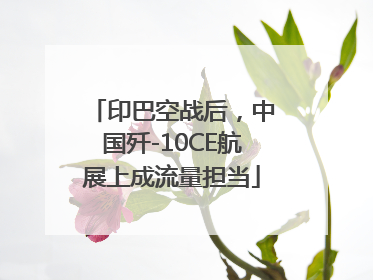 印巴空战后，中国歼-10CE航展上成流量担当