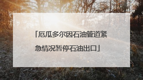 厄瓜多尔因石油管道紧急情况暂停石油出口