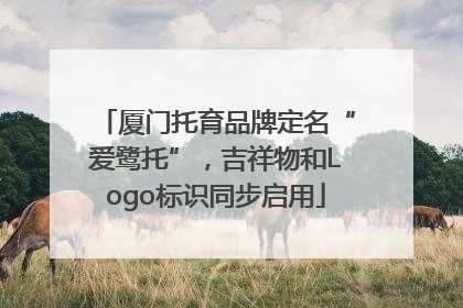 厦门托育品牌定名“爱鹭托”，吉祥物和Logo标识同步启用