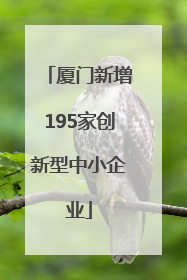 厦门新增195家创新型中小企业