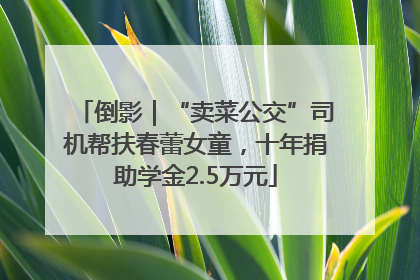 倒影｜“卖菜公交”司机帮扶春蕾女童，十年捐助学金2.5万元