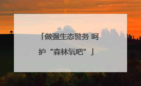 做强生态警务 呵护“森林氧吧”