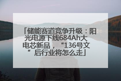 储能赛道竞争升级：阳光电源下线684Ah大电芯新品，“136号文”后行业将怎么走