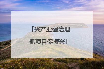 兴产业强治理 抓项目促振兴