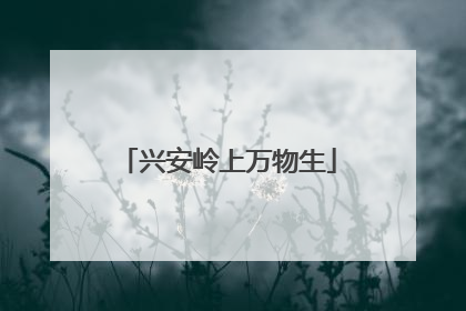 兴安岭上万物生