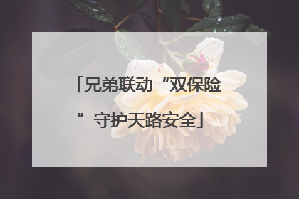 兄弟联动“双保险”守护天路安全