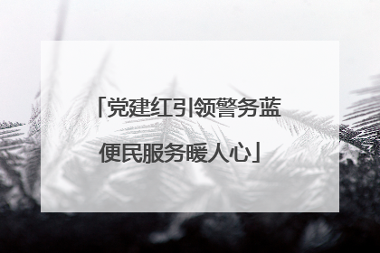 党建红引领警务蓝 便民服务暖人心