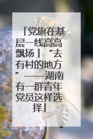 党旗在基层一线高高飘扬丨“去有村的地方”——湖南有一群青年党员这样选择