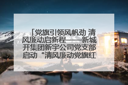 党旗引领风帆劲 清风廉动启新程——新城开集团新宇公司党支部启动“清风廉动党旗红”系列活动