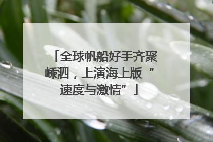 全球帆船好手齐聚嵊泗，上演海上版“速度与激情”
