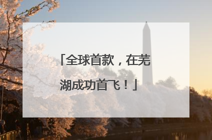 全球首款，在芜湖成功首飞！