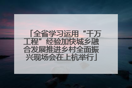 全省学习运用“千万工程”经验加快城乡融合发展推进乡村全面振兴现场会在上杭举行