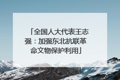 全国人大代表王志强：加强东北抗联革命文物保护利用