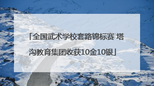 全国武术学校套路锦标赛 塔沟教育集团收获10金10银