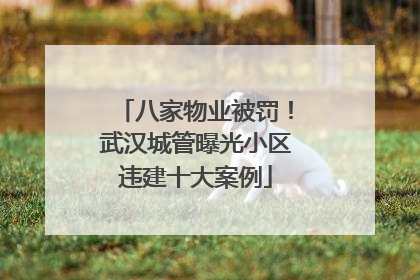 八家物业被罚！武汉城管曝光小区违建十大案例