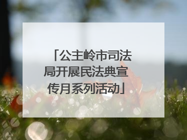 公主岭市司法局开展民法典宣传月系列活动