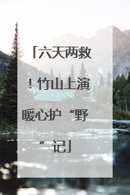 六天两救！竹山上演暖心护“野”记
