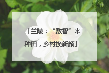 兰陵：“数智”来种田，乡村换新颜