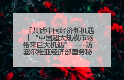 共话中国经济新机遇丨“中国超大规模市场带来巨大机遇”——访塞尔维亚经济部国务秘书尼科利奇
